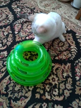 Three-Levels Tower-Tracks-Disc Ball Cat-Toys Interactive-Training-Amusement-Plate Cat-Intelligence