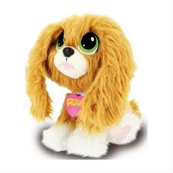 

Dog Rescue Runts Spaniel, puppy looking for home toy store