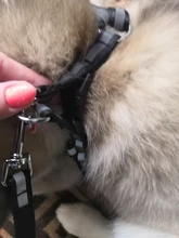 Arnés para perro o gato ajustable, reflectante, para gatos, exteriores, para perros pequeños, para caminar, Chihuahua, Terier