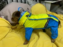Jumpsuit Raincoat Pet-Cloak Teddy Waterproof-Jacket HOOPET Dogs Chihuahua for Small Cat