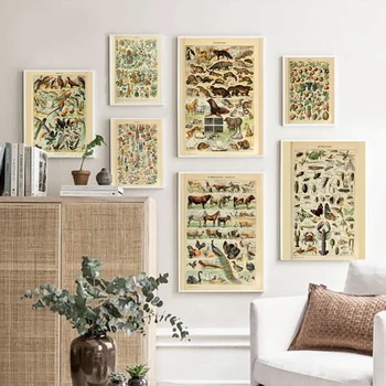 

Vintage Nature Illustrations Vintage Posters and Prints Botanical Natural History Images Wall Art Canvas Painting Pictures Decor