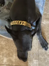 Dog-Chain-Collars Bulldog Pet-Training Stainless-Steel Metal Silver Strong for Large