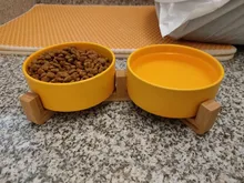 De cerámica tazón de perro gato plato con soporte de madera No derrame de alimentos para mascotas alimentador de agua gatos perros pequeños perros Pet
