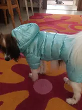Ropa de invierno para perros pequeños, abrigo cálido para cachorros, chaqueta impermeable con capucha, monos para Chihuahua y Yorkie