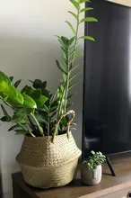 Pot Baskets Flower-Vase Hanging Household-Storage Woven Natural Seagrass Foldable Garden