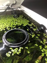 Feeding-Ring Circle-Accessory Fish-Tank-Station Aquarium Floating Food-Tray Buoyancy-Suction-Cup