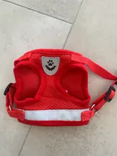 Arnés y correa reflectantes para gato, ropa transpirable a prueba de Escape para mascotas, chaleco ajustable de fácil Control