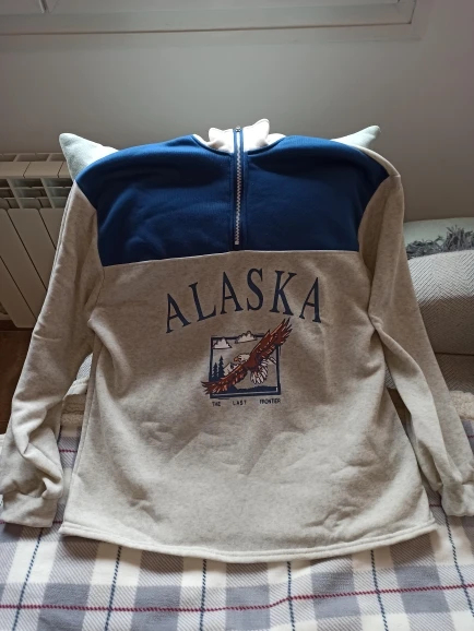 Y2K Aesthetic Oversized Sweatshirt with Alaska inscription photo review