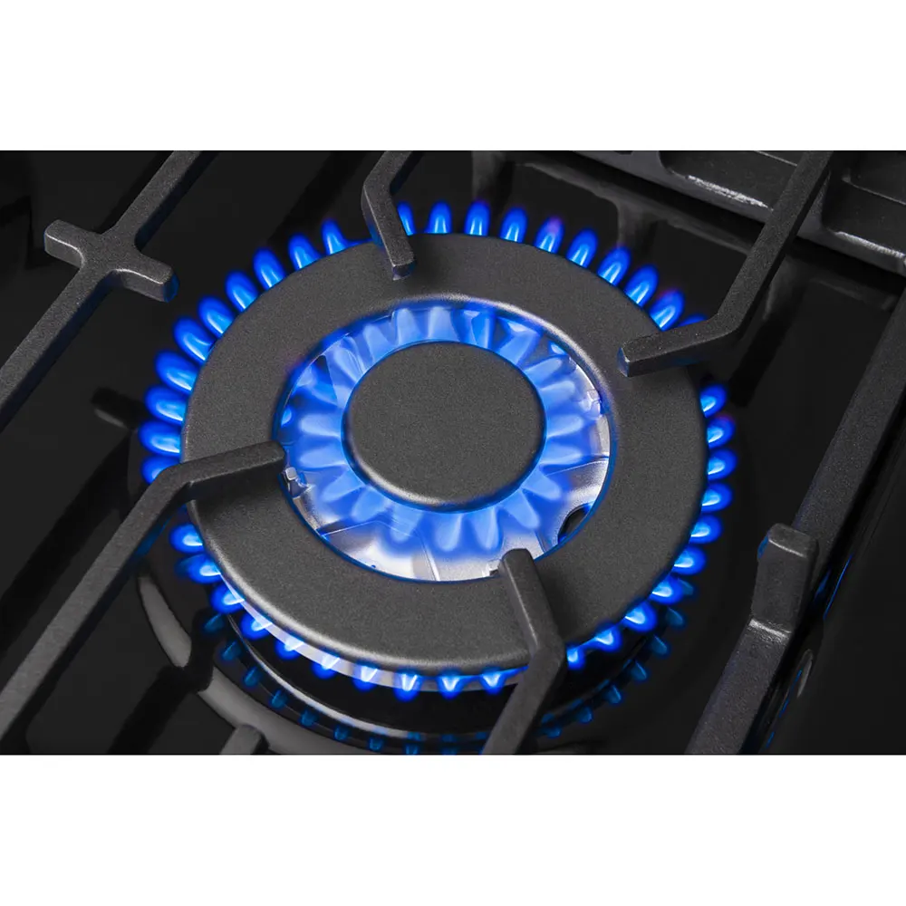 Варочная поверхность газовая Hansa BHGS61139
