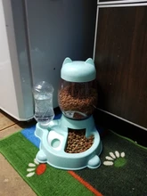 Automatic Feeder Bowl Food-Feeding-Container-Supplies 528ml-Bottle Drinking-Water Kitten