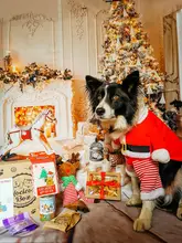 Costume Cat Jacket Christmas Dogs Small Santa-Claus Winter Large for Funny Dog-Coat Warm