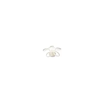 

Ceiling Lamp Led Charón 53W