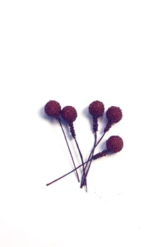 

Christmas decoration guelder item for decoration artificial berries for decoration Christmas (3000 PCs in pack) part no 9920214