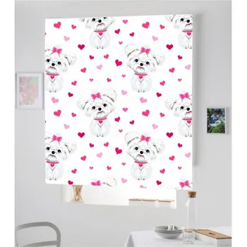 

Blind Iroa Digital Pet 028! ROLLER BLINDS TRANSLUCENT! (100X170)