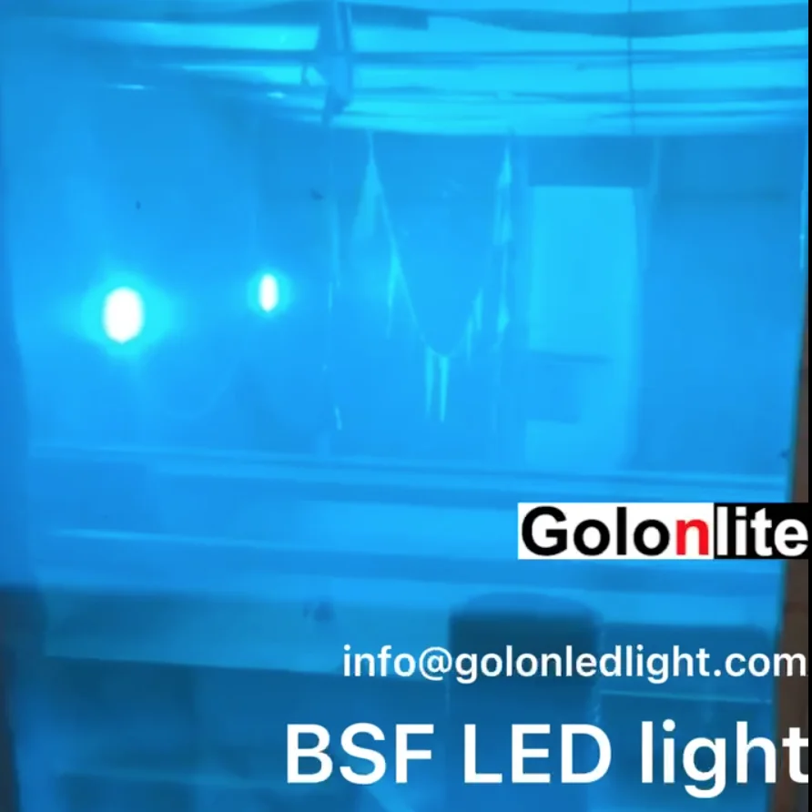 Black soldier fly light 50W BSF breeding LED lamp IP65 waterproof lighting for mating stimulation 100W 150W 200W 240W | Освещение