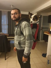 Carrier Bag Travel-Bags Pets-Products Retriever-Bulldog-Backpack Dogs Adjustable Large