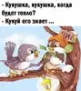 Изображение товара 5
