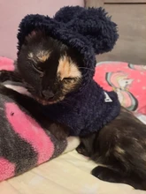 Ropa de Gato caliente para mascotas, abrigo, chaqueta para perros pequeños, medianos, gatos, Chihuahua, ropa de Yorkshire, disfraz rosa, S-2XL