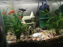 Lamp Spotlight Led-Bulb No-Need-Driver Cob-Lamp-Chip Outdoor-Chip IP65 Smart Ac 220v