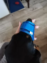 De policarbonato para perros ajustable máscara ladrar morder de la boca de malla boca aseo Anti deja de masticar