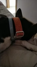 Collar-Products Pet-Collar Dogs Fashion Engraved-Name Custom Nylon Personalized Boy Girl