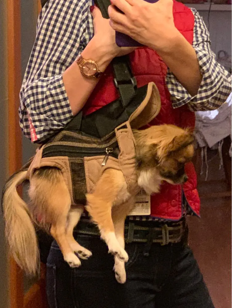 Small Dog Carrier Puppy Backpack Dog Front Carrier Legs Out Front