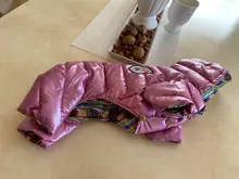 Coats Jumpsuits Overalls Yorkie-Clothing Puppy Dog-Jacket Pet-Dog Small Dogs Waterproof