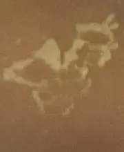 Aloe Vera máscara pelar para las piernas pies máscara exfoliante calcetines exfoliantes pedicura Anti grieta de talón eliminar parche de pie