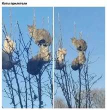 Bluetooth RGB Adapter Light Ribbon Tape-Controller Led-Lamp-Tape Usb-Led-Strip Desktop