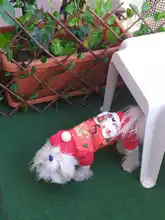 Hoodies Dog-Coat Halloween-Costumes Dogs Christmas Chihuahua Winter New Cats