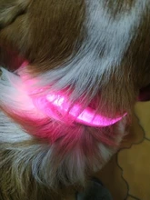 USB Rechargable Dog LED Flashing Collar Pet Cat Luminous Collar Glowing Necklace Outdoor