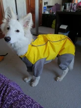 Mono impermeable para perro mascota, ropa impermeable para exteriores, mono con capucha para perros pequeños y grandes, capa impermeable, Bulldog francés