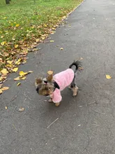 Coat Outfit Pets-Clothing Small Dogs Warm Chihuahua Winter Yorkshire Puppy Schnauzer