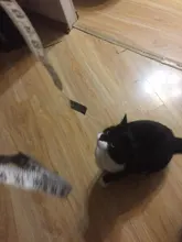 Centimeter-Meter Sewing-Measuring-Tape Tailor-Tape-Measure Soft Random-Color 150cm/60-