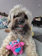 Perro de juguete de Q-MONSTER de peluche juguetes con chirrido para masticar Gabinete de la medicina bolsa de maquillaje lindo rompecabezas interactivo juguetes para mascotas