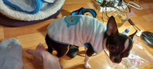 Nueva suave aire respirable malla de Nylon perro mascota gato arnés y correa Set