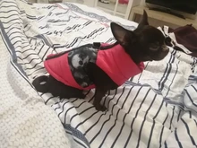 Puppy Vest Coat Clothing Jacket Dogs Chihuahua Waterproof Large Winter Medium Pet-Dog