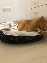 Cama para perros grandes y gatos, productos para mascotas, esterilla, banco, sofá, suministros, accesorios, para casa, cachorros, py0103