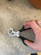 Cortador de huevos, tijeras de cocina, cortador de cuchillas, herramienta para aves, palomas y codorniz