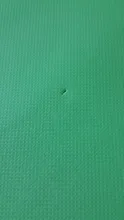 Fitness-Mat EVA Foam Exercise Yoga Pilates Thick Sports Anti-Skid Comfort 3MM-6MM And
