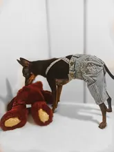 Jeans Clothing Jacket Coat Dog-Costume Puppy Dogs Small Denim Pet Medium for Chihuahua