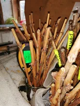 Soil-Ph-Tester Moisture-Meter Ph-Light Plant Kit for Flowers 3/4-In-1