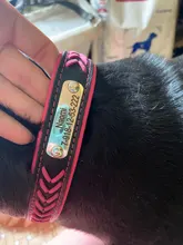 Cat-Nameplate-Collar Engraved Puppy Dogs Custom Personalized Adjustable Pug for Small