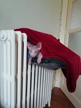 Pet Cat Animal Hammack Luxury Radiator Bed Hanging Winter Warm Fleece Basket Fleece