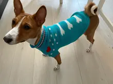 Sweater Bulldog-Outfit Chihuahua-Coat Knitted French Winter Dogs Warm for Small Pug-Clothing