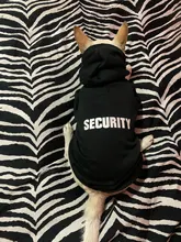 Ropa Para gato mascotas abrigos para gato chaqueta sudaderas con capucha para gatos traje cálido para mascotas conejo animales traje para mascotas para perros