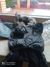 Coat Dogs-Clothing Dot-Pattern Winter Hooded Pet-Dogs New Xl To High-Quality