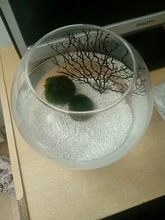 Decor-Plants Landscaping-Decor Tank Aquarium Plastic Resin Coral Fishing-Fis Sea-Iron-Tree