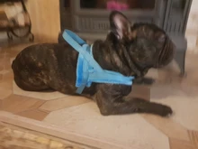 No-¡perro arnés reflectante ajustable de franela acolchada pequeño, mediano y grande arnés tipo chaleco para perro fácil para caminar de formación