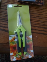 Tijeras de podar de Metal para jardín, Cortador manual de uvas, fruta, recolección de marihuana, en maceta para el hogar